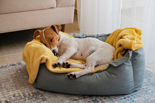Comfort & Home