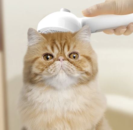 Escova de Limpeza Automática para Pets