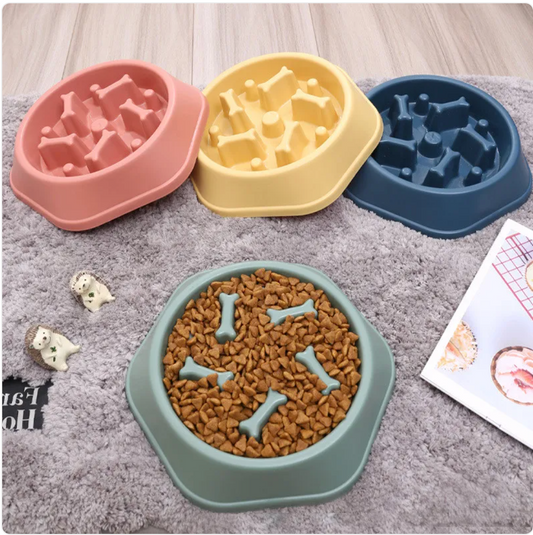 Taça Slow Feeder para Cães