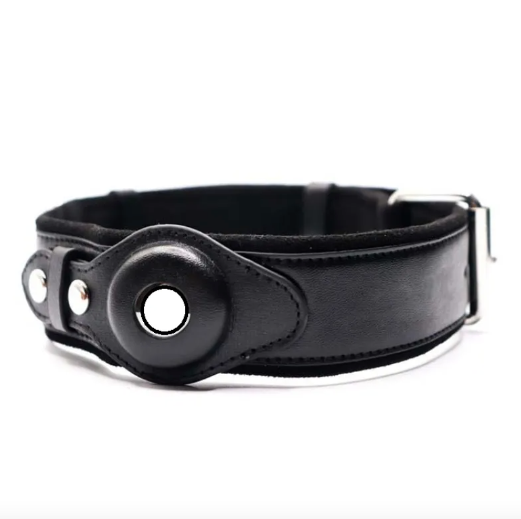 Coleira de Couro com Localizador GPS