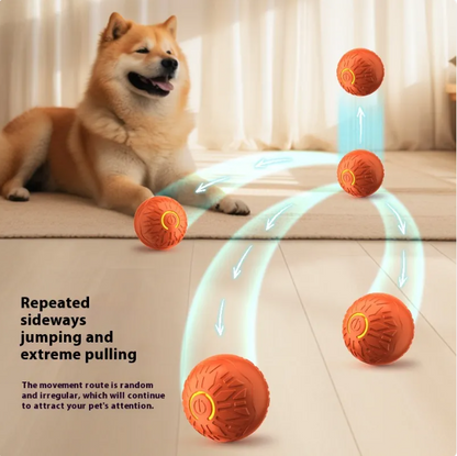 Bola Interativa para Cães