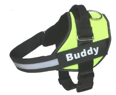 Arnês Refletor Ajustável Anti Puxão para Cães (Buddy)